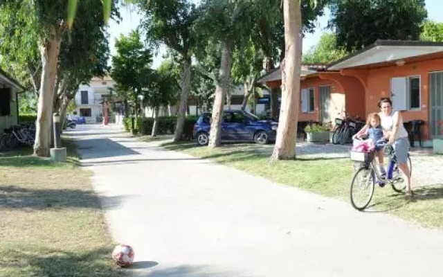 Camping  Village Eucaliptus