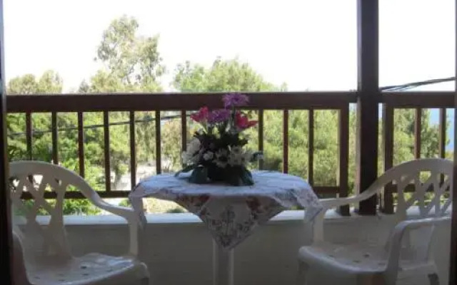 Litsa Studios