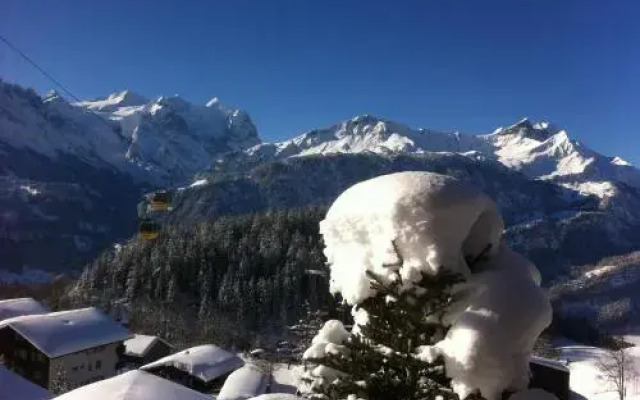 Ferienwohnung & Studio Schaad