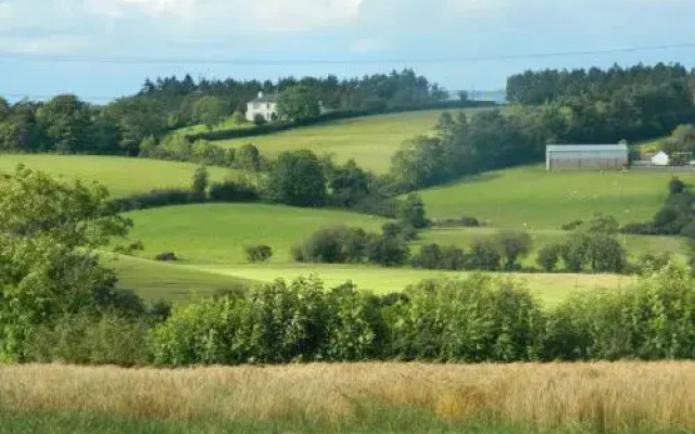 Drumlin Lane Self Catering