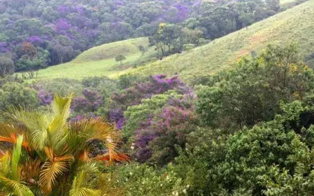 Bosque Dos Beija Flores Pousada E Spa