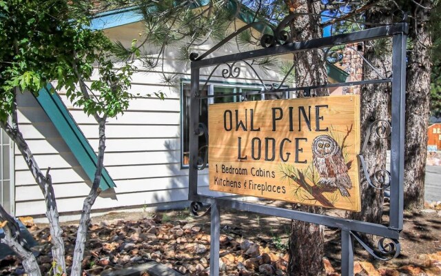 1555 - Owl Pine Cabin