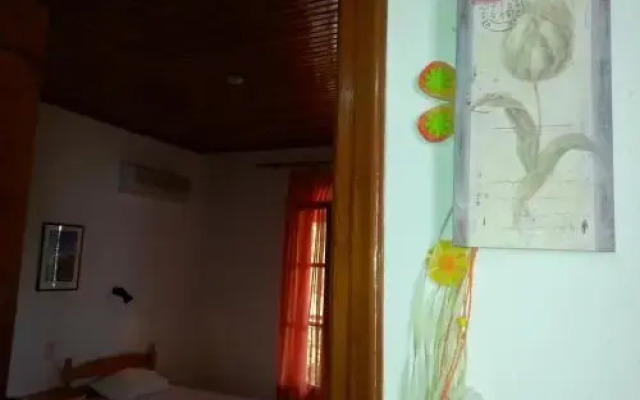 Adam's House