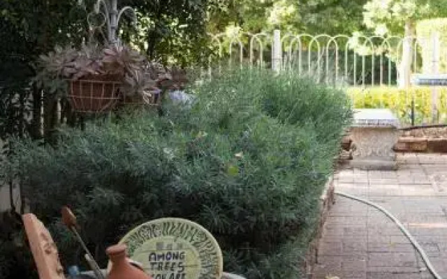 Birdsong B & B