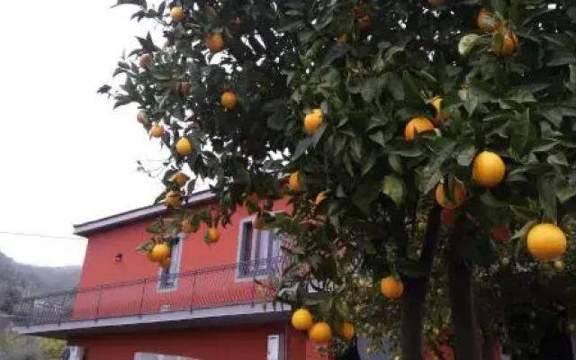 La Sorgente dell'Etna