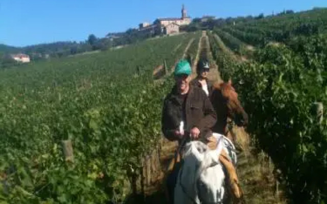 Centro Ippico Della Berardenga