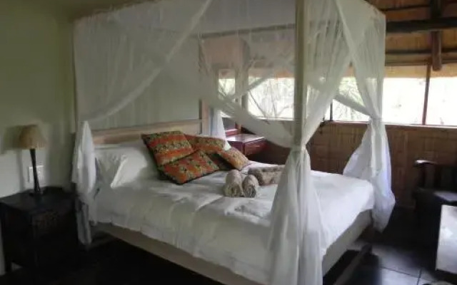 Marloth Kruger Little Manor