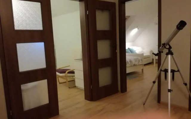 Lawenda-Strefa Ciszy