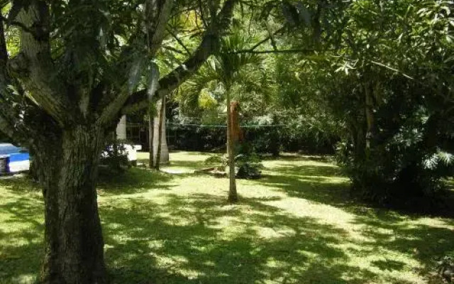 The Orchid Tree B&B Costa Rica