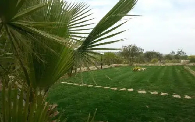 Tenuta Cancaleo