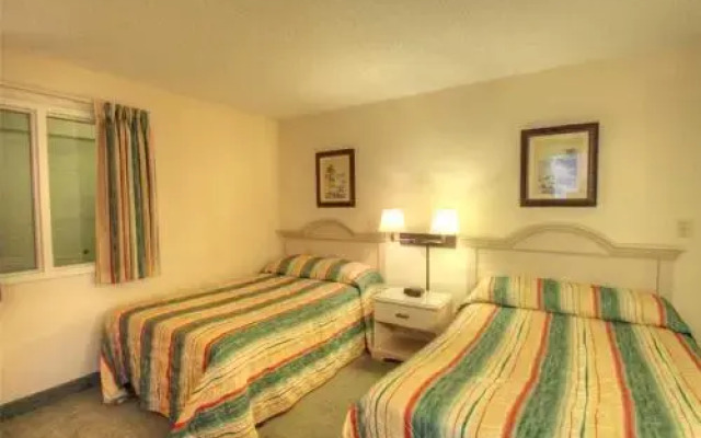 Ocean Forest 506 - Ocean Front