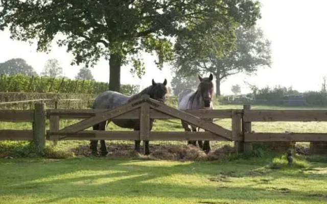 Vakantiehuisjes Op De Horst