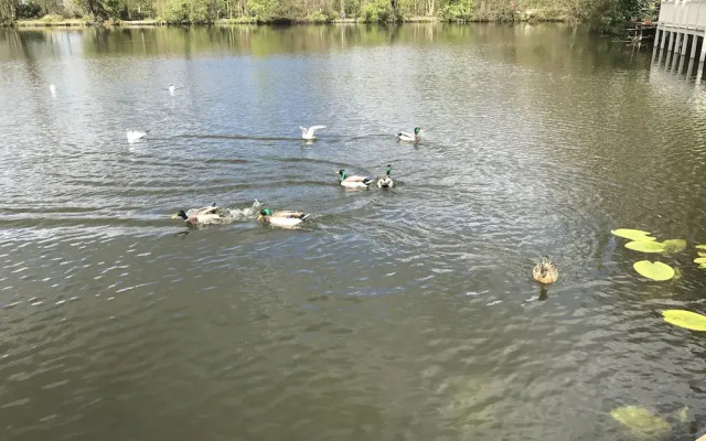 Holiday Home Celebration in Coghurst Holiday Park