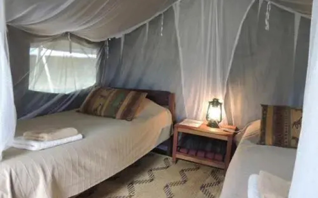 Kiboko Safaris Camp