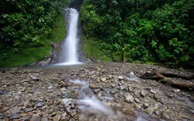 Selva Bananito Lodge