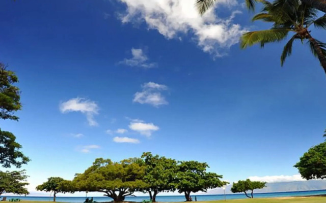 Honokowai Palms #a-7 1 Bedroom Condo by RedAwning