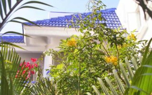 Natz Ti Ha k201 by PRP