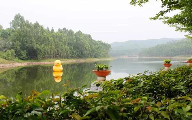 White Swan Hotel Qingyuan