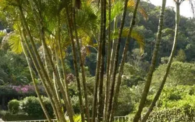 B&B Almeida