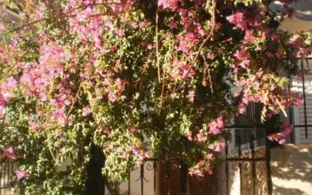 Zavrakli