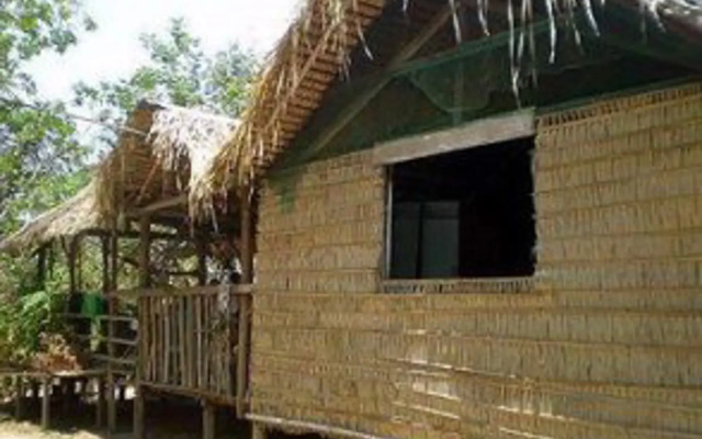 Manaus Jungle Hostel