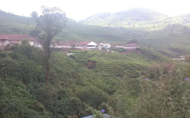 Family Care Home Stay