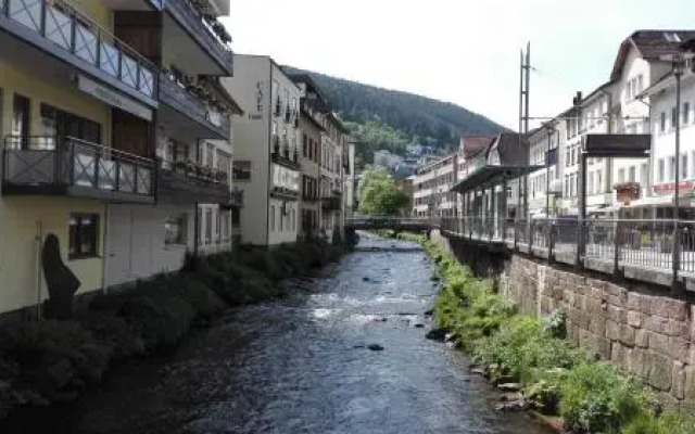 Wildbadferien