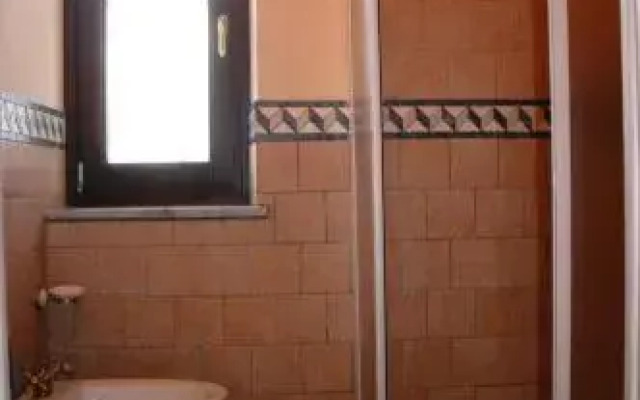 Il Cenerino