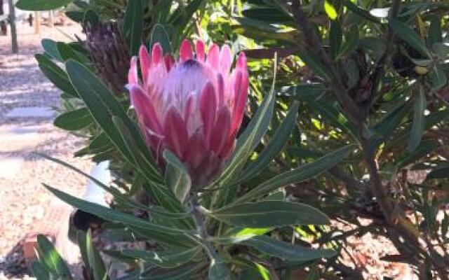 The Loft in McGregor