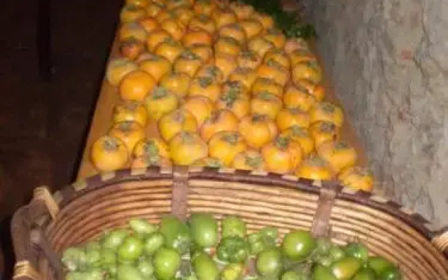 Locanda Montegiovi B&B