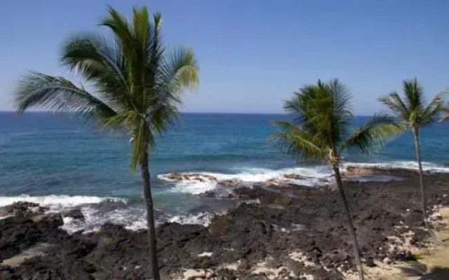 Kona Reef #d31 Lanai w/ Coastal Views