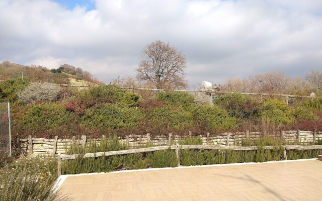 Le Terre Del Sacramento