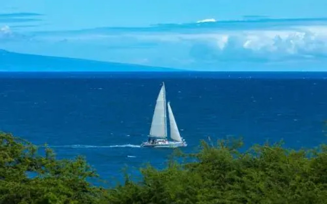 Maui Kamaole #G-210