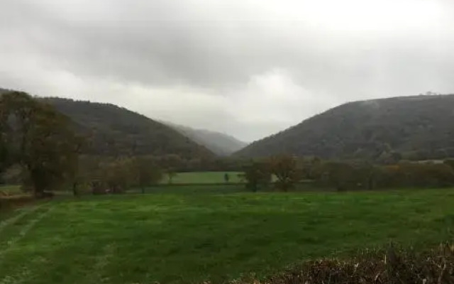 Llys y Coed