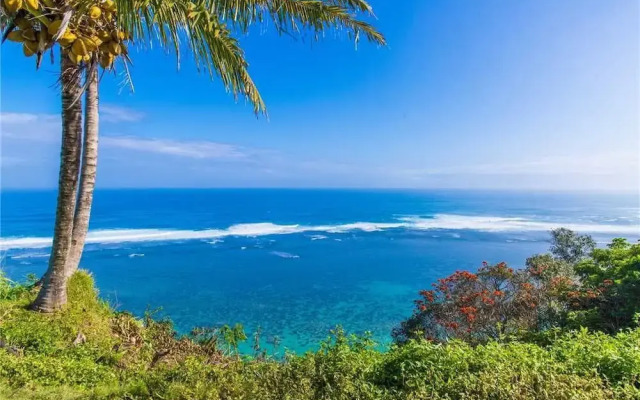 Kamahana 18 by RedAwning