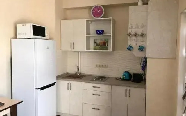 Na Prosvescheniya Apartment