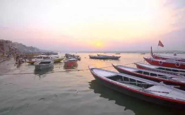 Shiva Shakti Yoga Resort