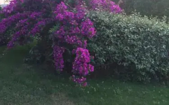Agriturismo Campesi