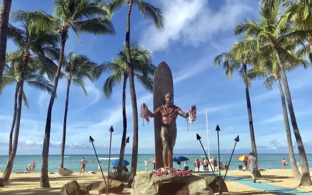Honu Hale by RedAwning