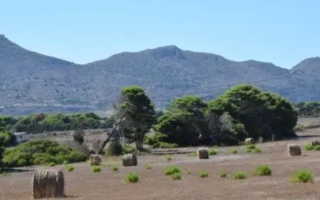 Appartamenti la Pinetina di Favignana