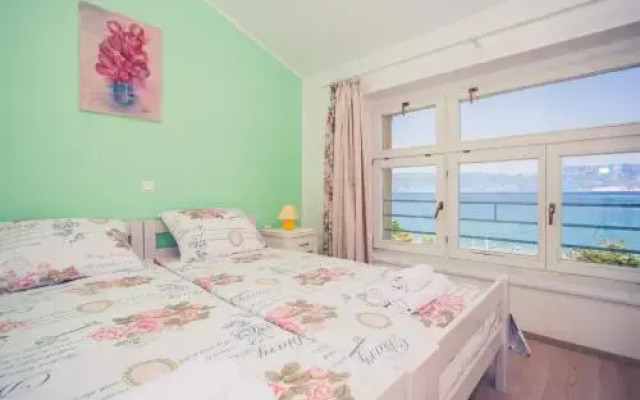 Valis Aurea Baška