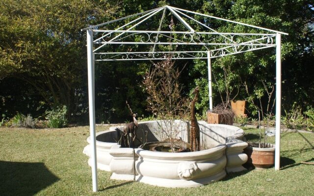 Thyme on Forest Drive