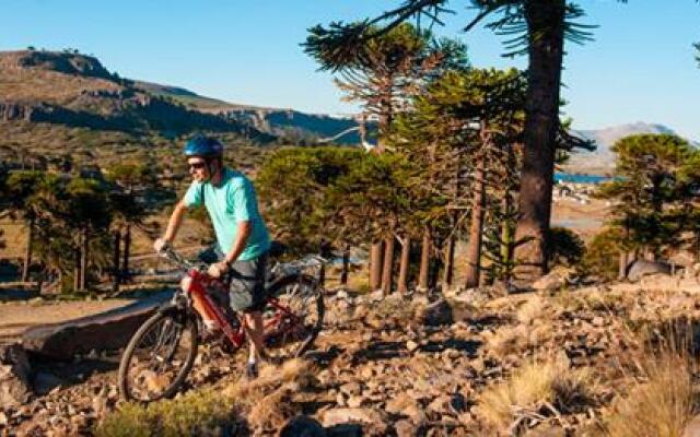 Hebe´s House Hostel