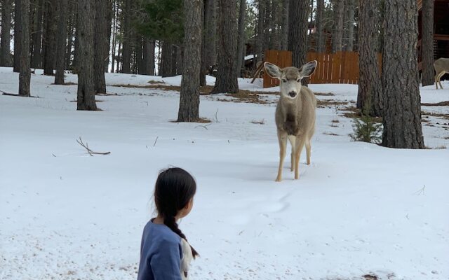 Angel Fire NM Condos