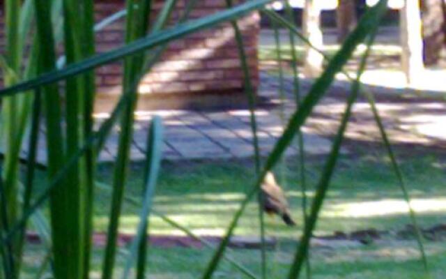 Cabañas Del Pastizal