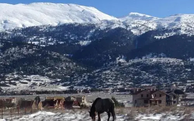 Mont Valley Boutique Chalets
