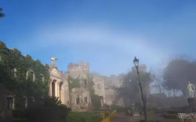 Flycatcher Castle