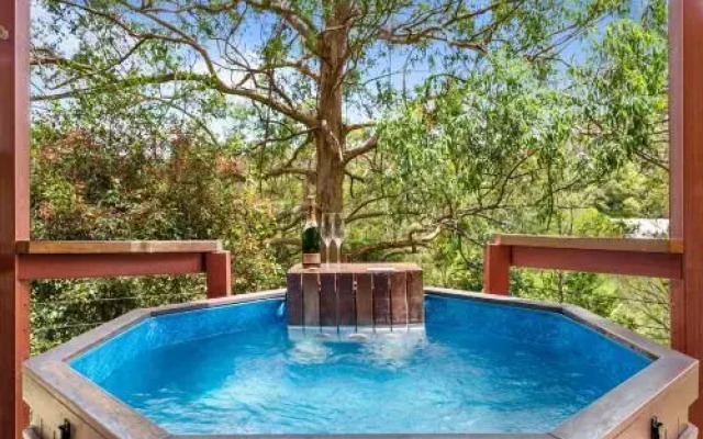 Ravensbourne Escape-Tree Tops