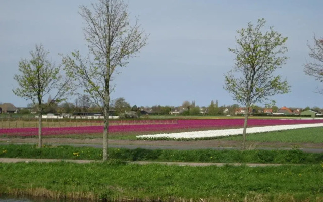 B&B Janny - Medemblik