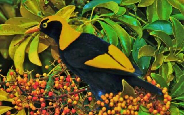 Yarrahapinni Homestead